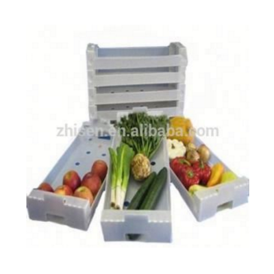 Fruit & Vegetables Plastic Storage Box/correx Supplier Corrugated Box