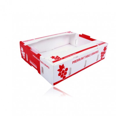 Fruits And Vegetables Plastic Corflute Packaging Box Manufacturer